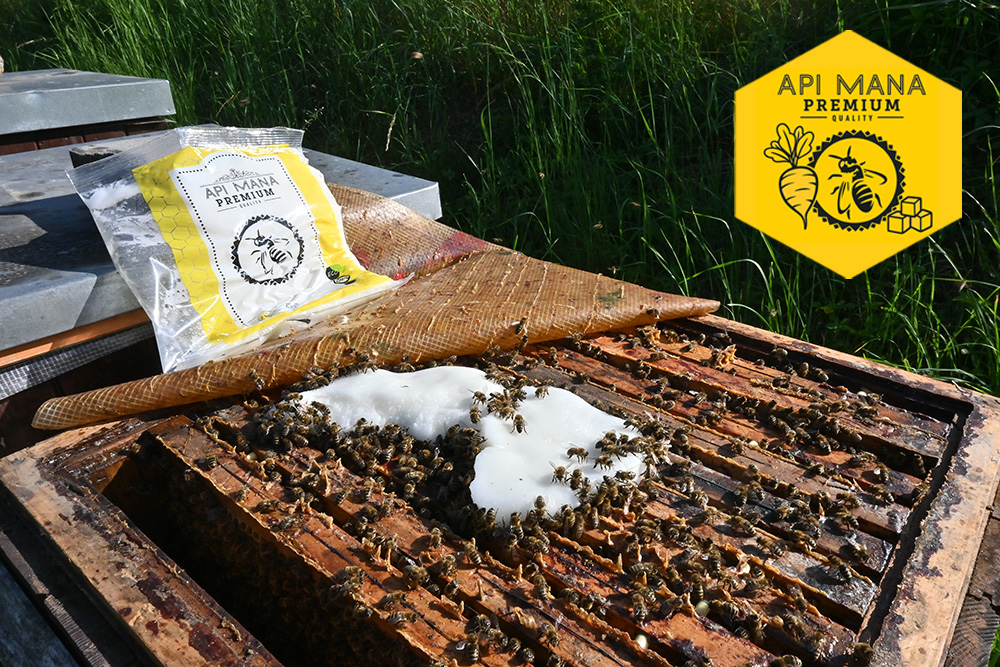 Cuidado y alimentación de núcleos de abejas