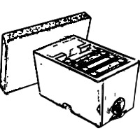 Núcleos de fecundación