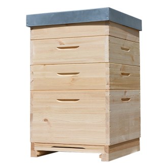 Colmenas Dadant US De Madera 12 Cuadros