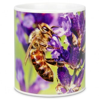 Taza ApiSina abeja y flor morada 2