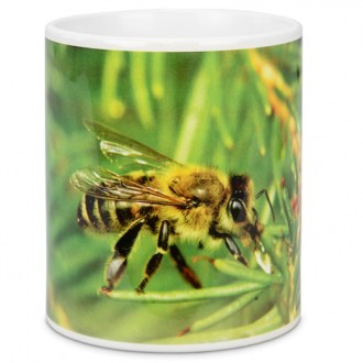 Taza ApiSina mielada