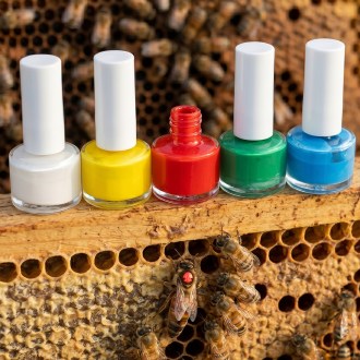 Laca de colores para marcar reinas - frasco