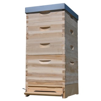 Colmena Dadant 1x(285) + 3x2/3(159) - 10 c. - zinc