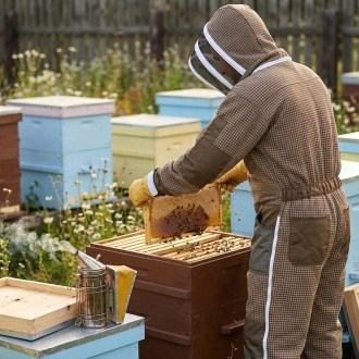 Mono de apicultura con ventilación Elegant Bee talla: S-XXXXL