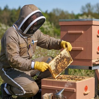 Mono de apicultura con ventilación Elegant Bee talla: S-XXXXL