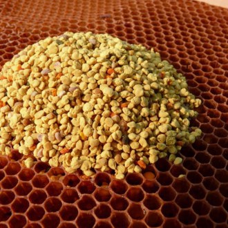 Polen floral - 100g