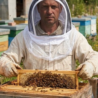 Capucha protectora Mellarius con velo