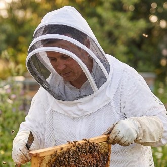 Capucha protectora Mellarius con velo
