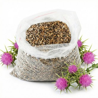 Cardo mariano (semillas / pasto apícola) - 0,5 kg