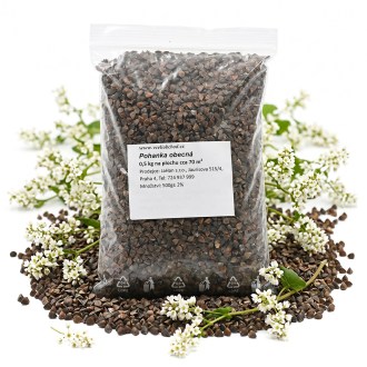 Trigo sarraceno común (semillas / pasto apícola) - 0,5 kg