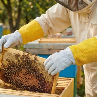 Guantes de apicultor - con ventilación - tallas: S-XXL