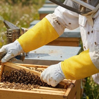 Guantes de apicultor - con ventilación - tallas: S-XXL