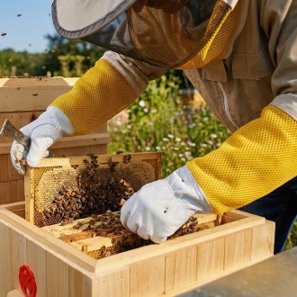 Guantes de apicultor - con ventilación - tallas: S-XXL