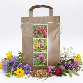 Mezcla nectarífera perenne de primavera para abejas - 1 kg