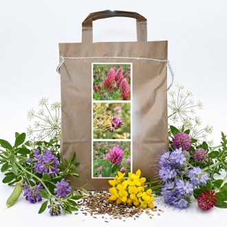 Mezcla nectarífera perenne de primavera para abejas - 1 kg