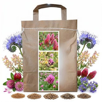 Mezcla nectarífera perenne de verano para abejas - 1 kg
