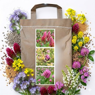 Mezcla nectarífera anual de primavera para abejas - 1 kg