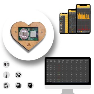 Sensor de colmena Bee Heart