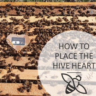 Sensor de colmena Bee Heart