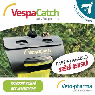 Trampa para avispones asiáticos VespaCatch
