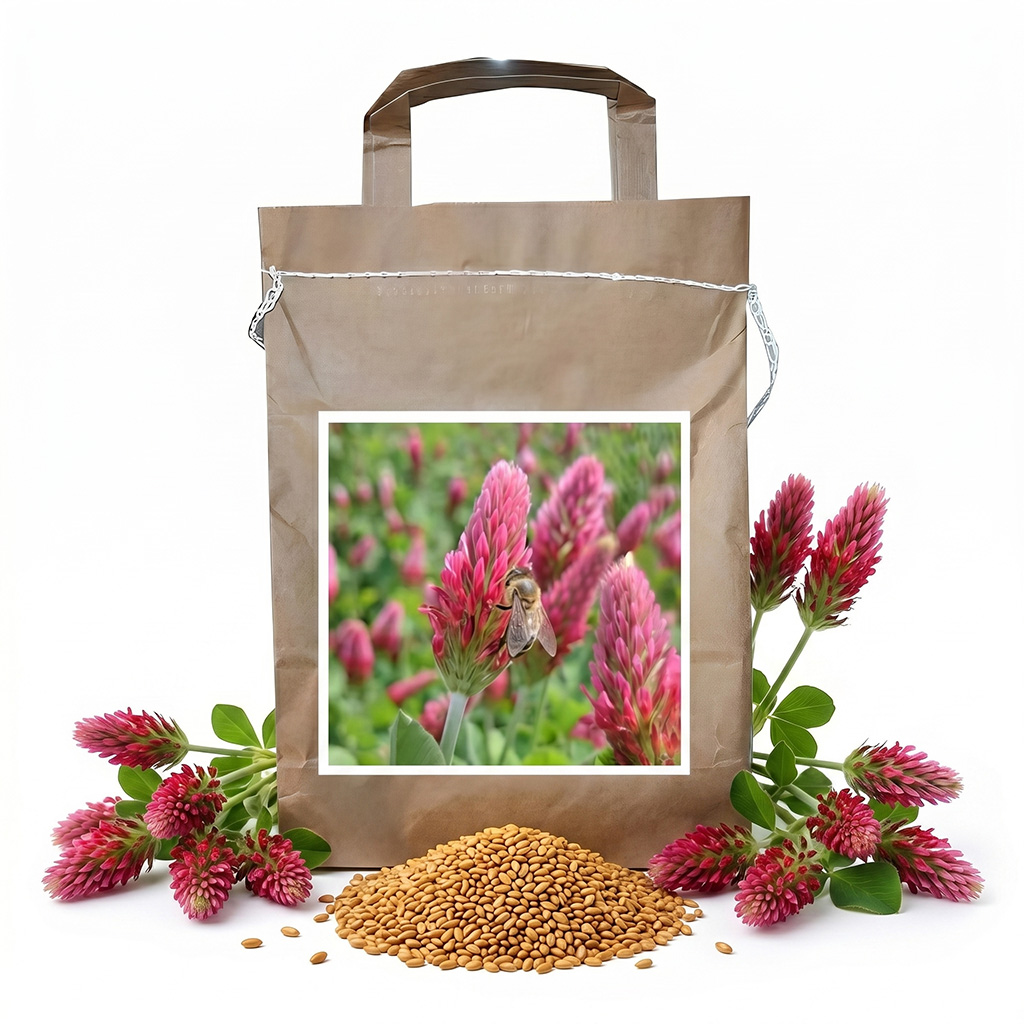 Trébol encarnado CARDENAL (encarnado) - 1 kg
